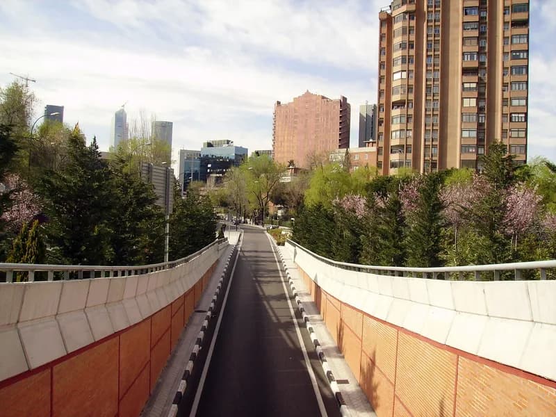 Nueva España - Madrid
