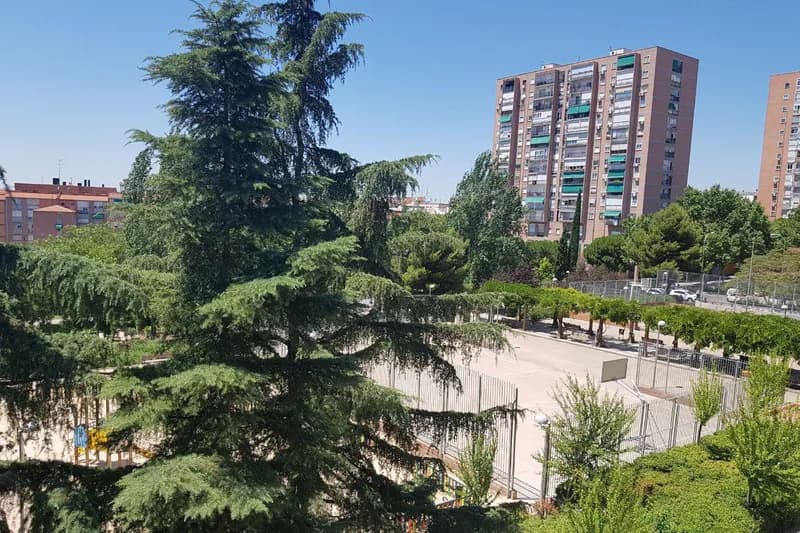 Pueblo Nuevo - Madrid