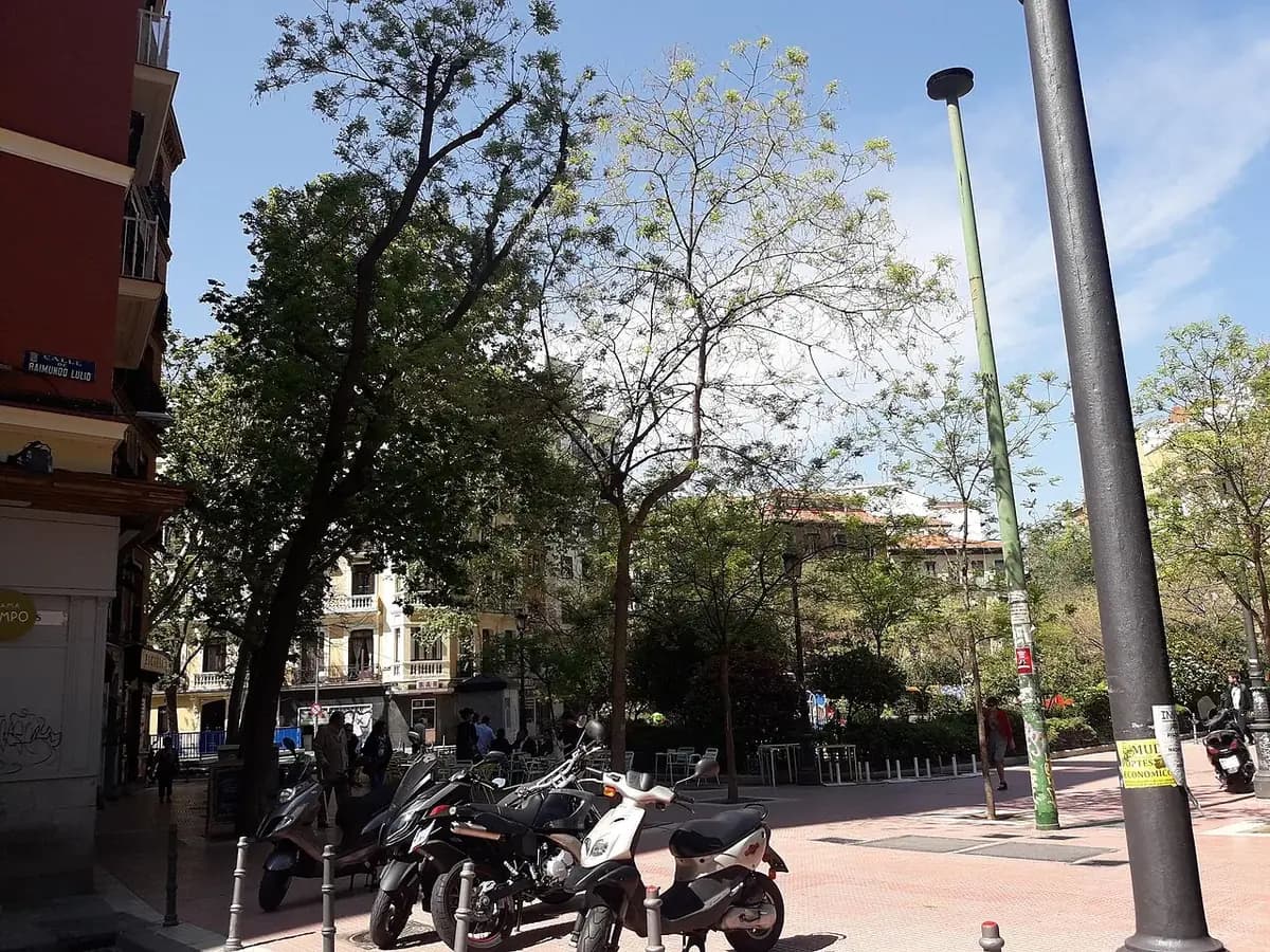 Trafalgar - Madrid