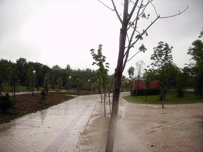 Valdeacederas - Madrid