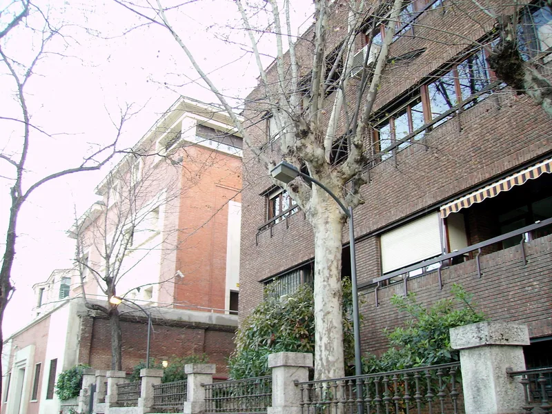 El Viso