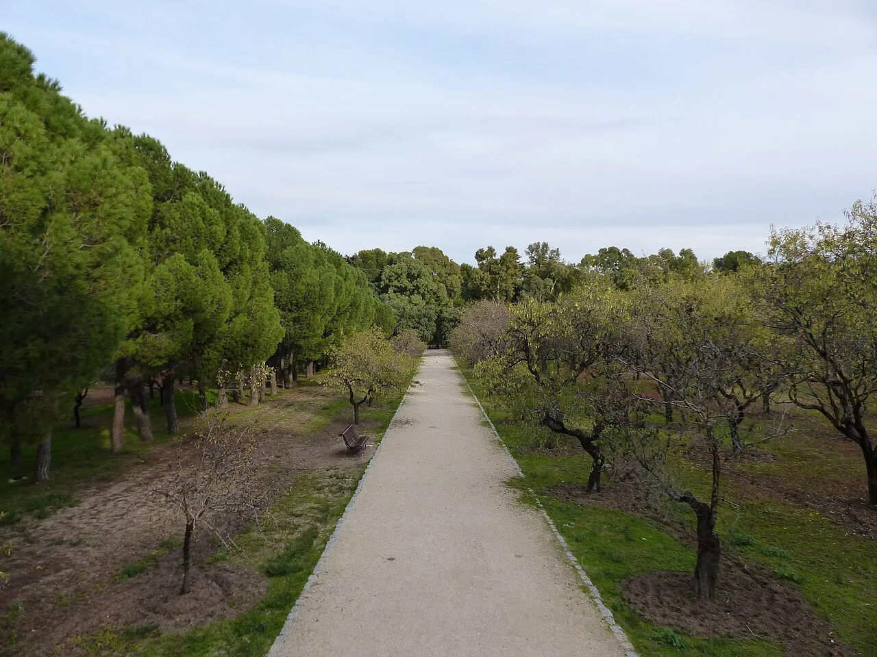 Fuente del Berro